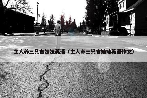 主人养三只吉娃娃英语（主人养三只吉娃娃英语作文）