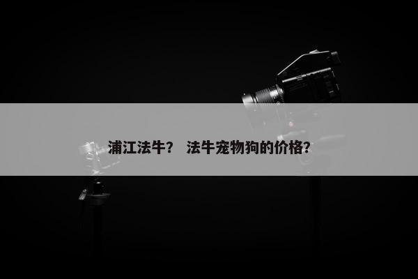 浦江法牛？ 法牛宠物狗的价格？