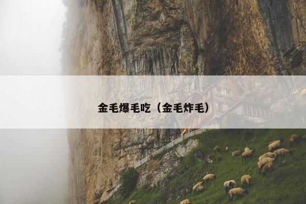 金毛爆毛吃（金毛炸毛）