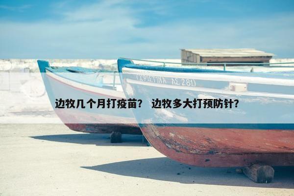 边牧几个月打疫苗？ 边牧多大打预防针？