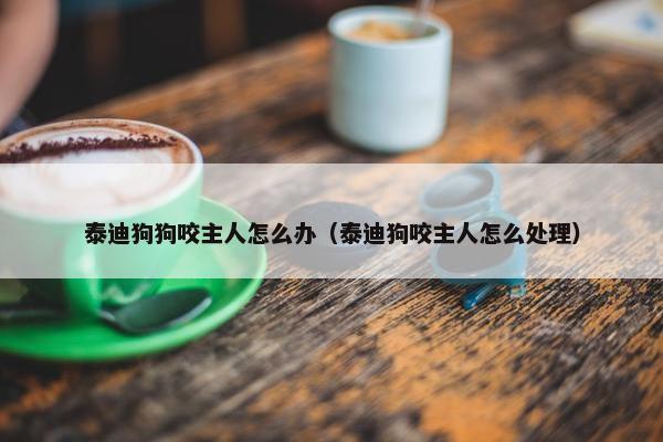 泰迪狗狗咬主人怎么办（泰迪狗咬主人怎么处理）