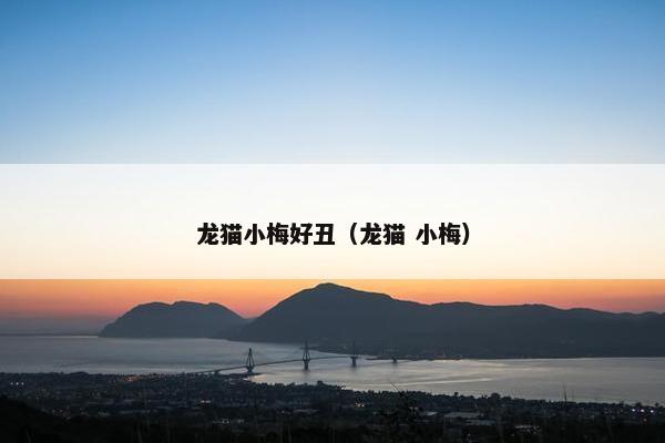 龙猫小梅好丑（龙猫 小梅）