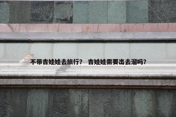 不带吉娃娃去旅行？ 吉娃娃需要出去溜吗？