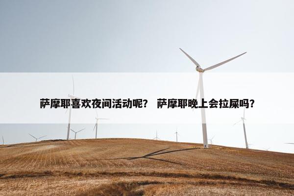 萨摩耶喜欢夜间活动呢？ 萨摩耶晚上会拉屎吗？
