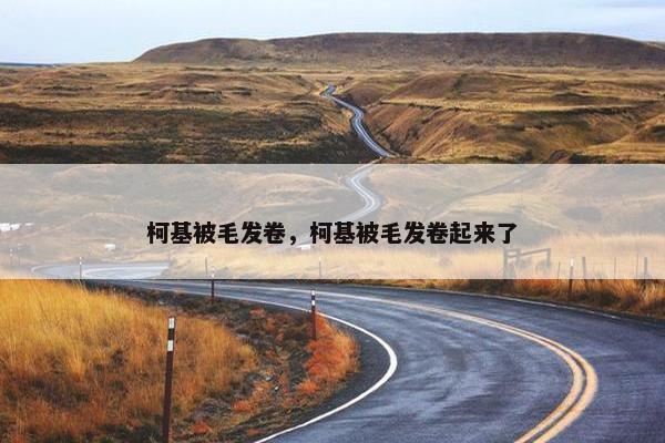 柯基被毛发卷，柯基被毛发卷起来了