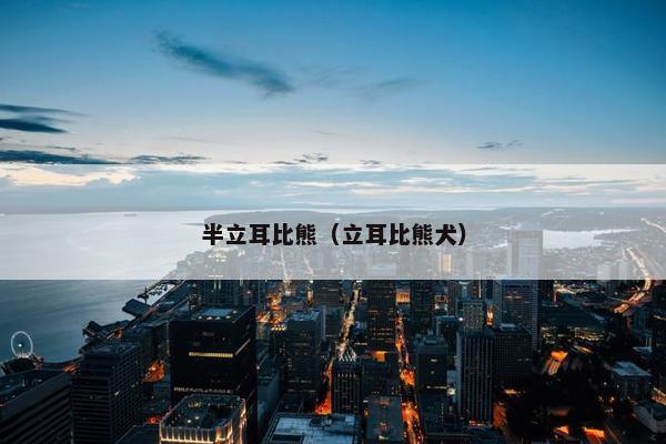半立耳比熊（立耳比熊犬）