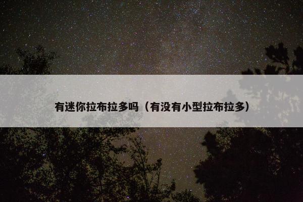 有迷你拉布拉多吗（有没有小型拉布拉多）