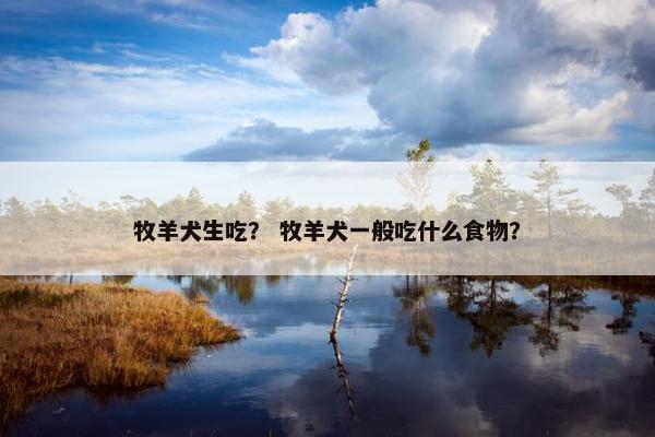 牧羊犬生吃？ 牧羊犬一般吃什么食物？