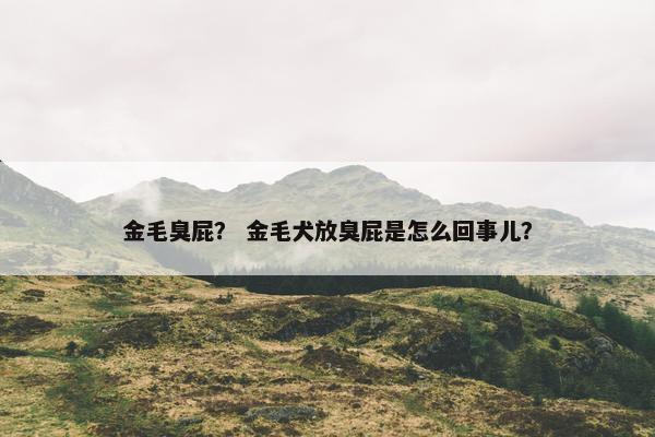 金毛臭屁？ 金毛犬放臭屁是怎么回事儿？