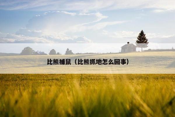 比熊捕鼠（比熊抓地怎么回事）