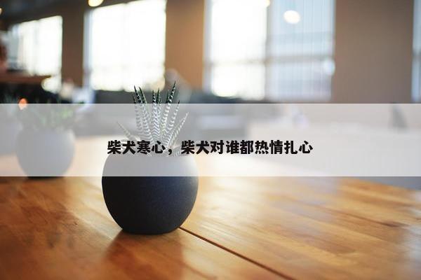 柴犬寒心，柴犬对谁都热情扎心