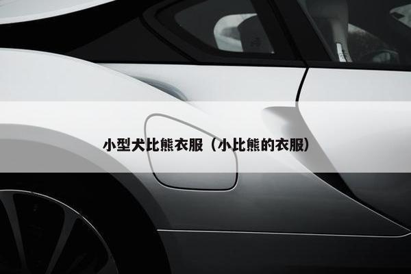 小型犬比熊衣服（小比熊的衣服）