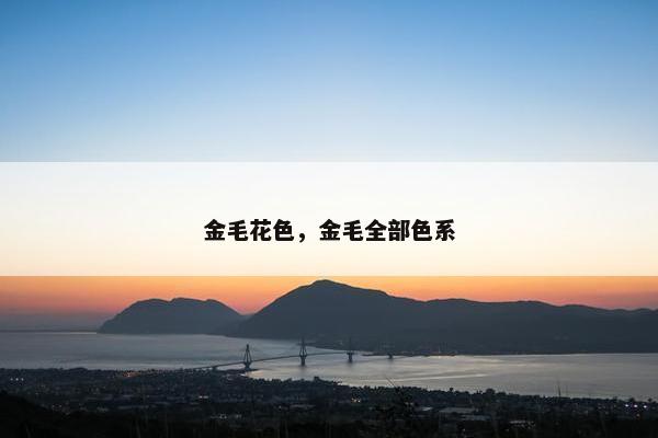 金毛花色，金毛全部色系