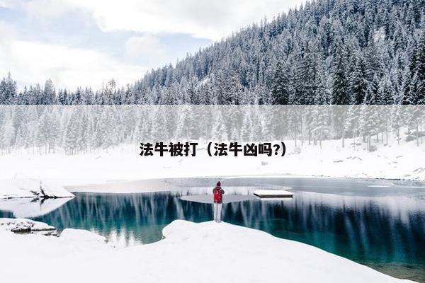 法牛被打（法牛凶吗?）