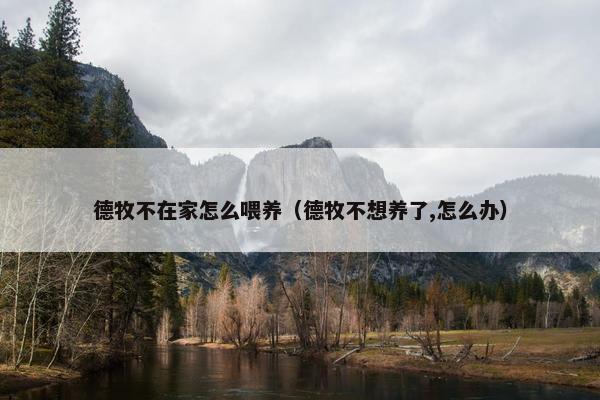 德牧不在家怎么喂养（德牧不想养了,怎么办）