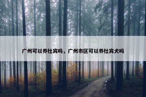 广州可以养杜宾吗，广州市区可以养杜宾犬吗