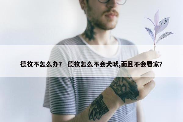 德牧不怎么办？ 德牧怎么不会犬吠,而且不会看家？