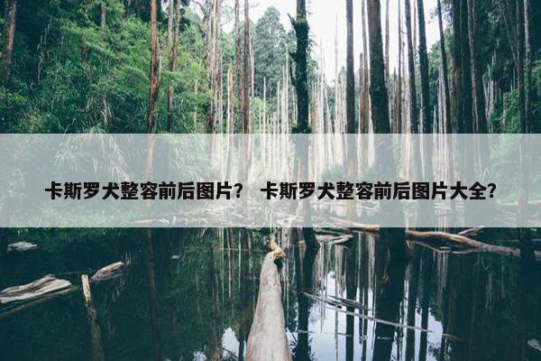 卡斯罗犬整容前后图片？ 卡斯罗犬整容前后图片大全？