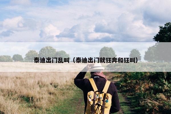 泰迪出门乱叫（泰迪出门就狂奔和狂叫）