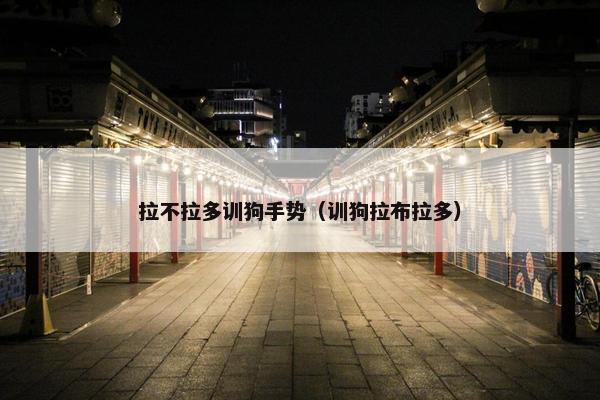 拉不拉多训狗手势（训狗拉布拉多）