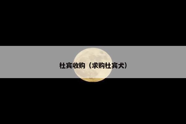 杜宾收购（求购杜宾犬）