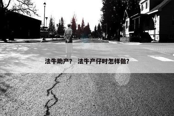法牛助产？ 法牛产仔时怎样做？