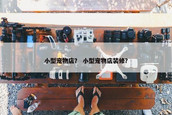 小型宠物店？ 小型宠物店装修？