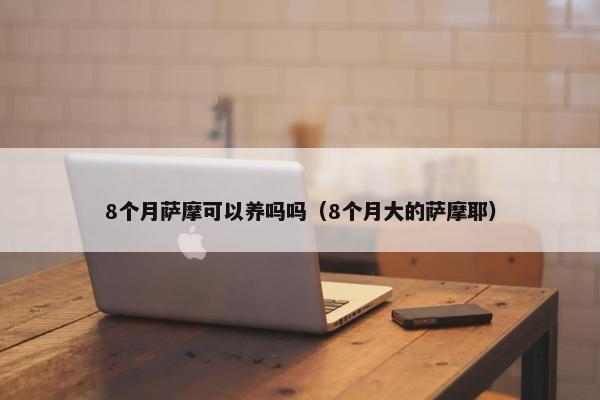 8个月萨摩可以养吗吗（8个月大的萨摩耶）