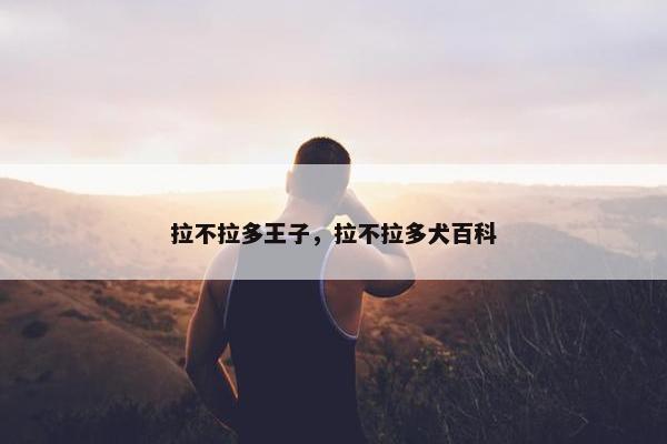 拉不拉多王子，拉不拉多犬百科