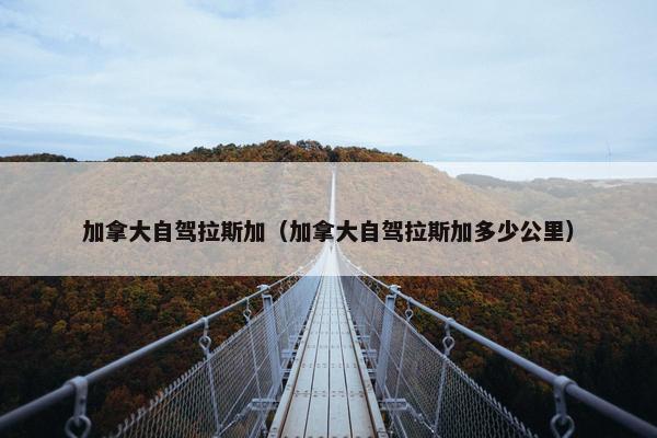加拿大自驾拉斯加（加拿大自驾拉斯加多少公里）