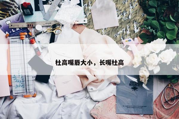 杜高嘴唇大小，长嘴杜高