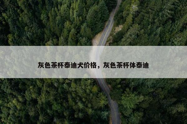 灰色茶杯泰迪犬价格，灰色茶杯体泰迪