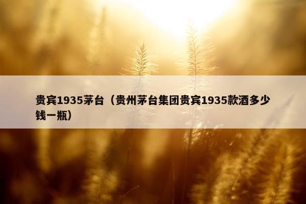 贵宾1935茅台（贵州茅台集团贵宾1935款酒多少钱一瓶）