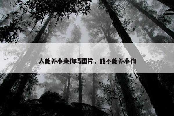 人能养小柴狗吗图片，能不能养小狗
