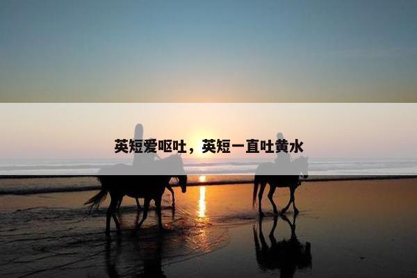 英短爱呕吐，英短一直吐黄水