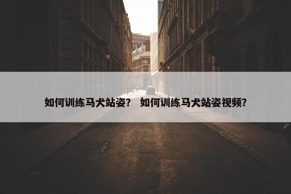 如何训练马犬站姿？ 如何训练马犬站姿视频？