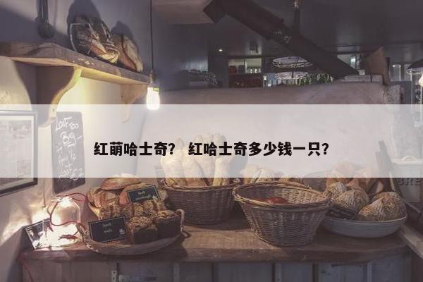 红萌哈士奇？ 红哈士奇多少钱一只？