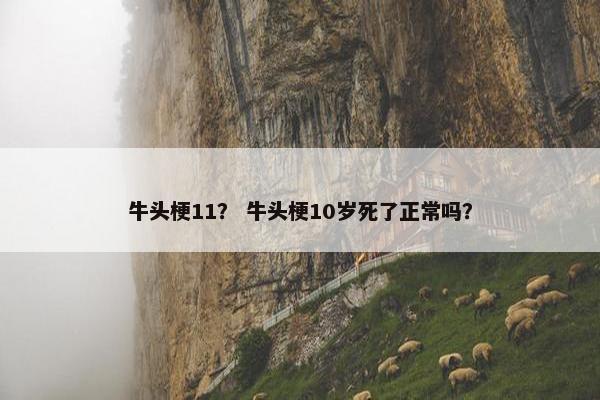 牛头梗11？ 牛头梗10岁死了正常吗？