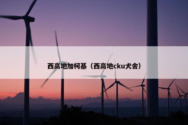 西高地加柯基（西高地cku犬舍）