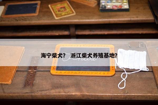 海宁柴犬？ 浙江柴犬养殖基地？