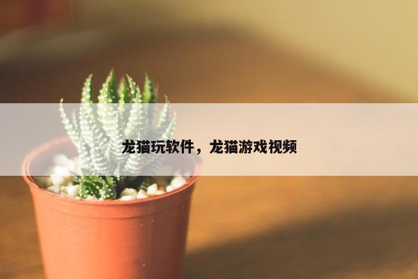 龙猫玩软件，龙猫游戏视频