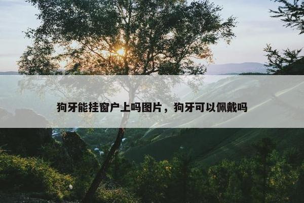 狗牙能挂窗户上吗图片，狗牙可以佩戴吗