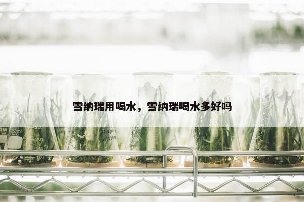 雪纳瑞用喝水，雪纳瑞喝水多好吗