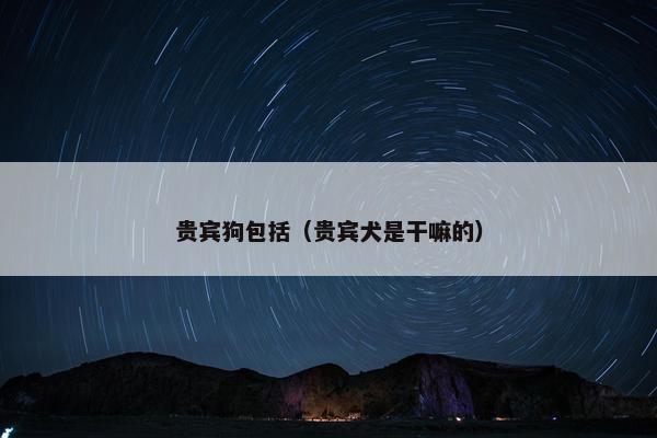 贵宾狗包括（贵宾犬是干嘛的）