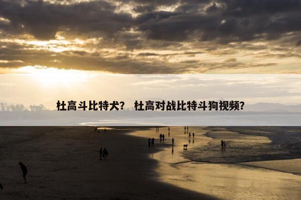 杜高斗比特犬？ 杜高对战比特斗狗视频？