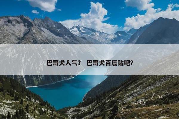 巴哥犬人气？ 巴哥犬百度贴吧？