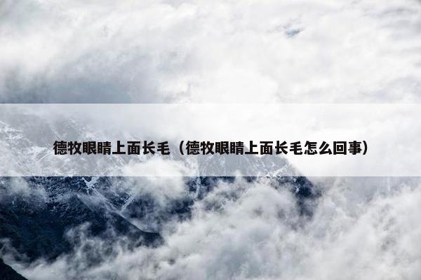 德牧眼睛上面长毛（德牧眼睛上面长毛怎么回事）