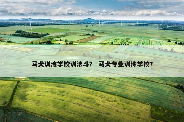 马犬训练学校训法斗？ 马犬专业训练学校？