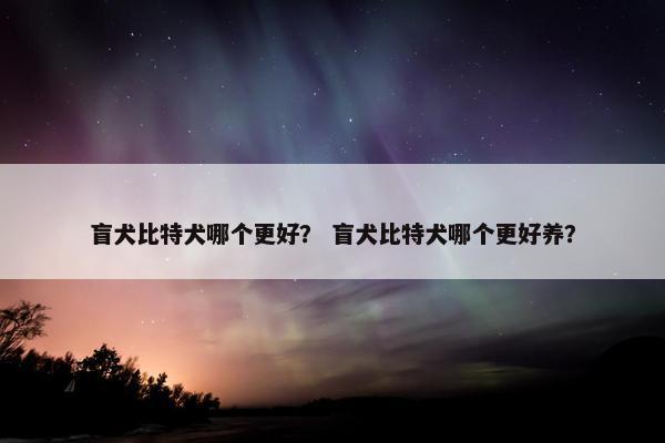 盲犬比特犬哪个更好？ 盲犬比特犬哪个更好养？