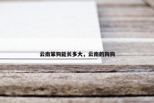云南笨狗能长多大，云南的狗狗